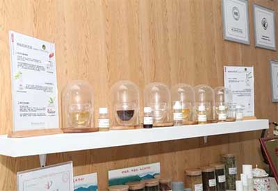 <b>天玺国际：功效性化妆品的冰与火</b>